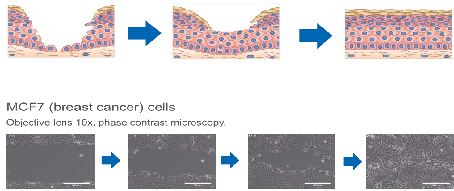 20220525-1282826839.png 20220525-1282826839.png